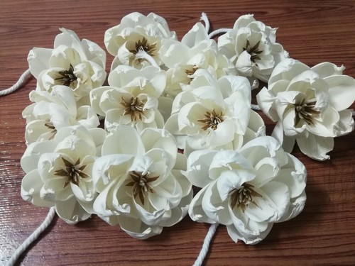Gardenia sola diffusore legno - sola,