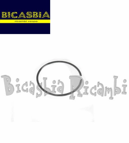 12843 segmento fascia - segmento,