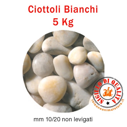 Ciottoli bianchi non levigati - bianchi,