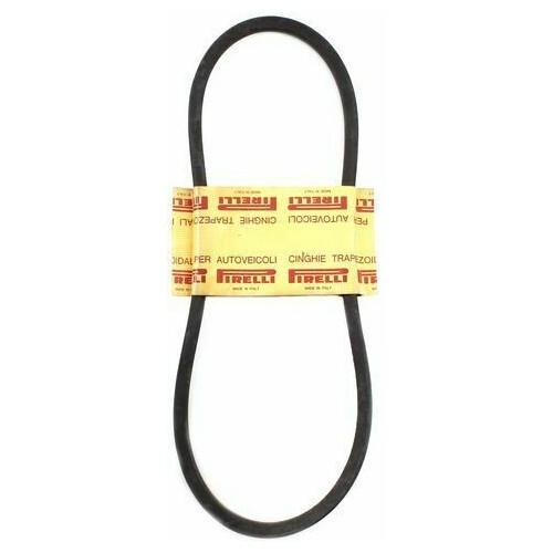 Cinghia trapezoidale pirelli - trapezoidale,