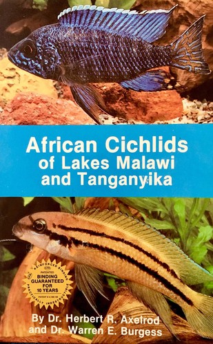 African cichlids lakes - african,