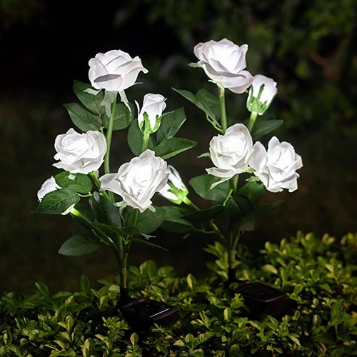 Teste energia solare fiori - teste,