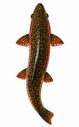 Adesivo brook trota - brook, pesce