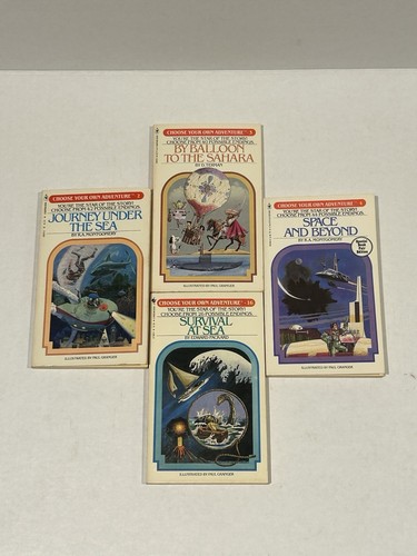 Choose your own - own, adventure