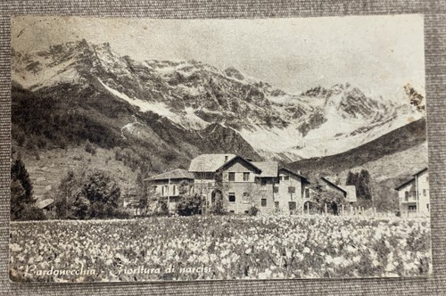 Postcard bardonecchia - postcard,