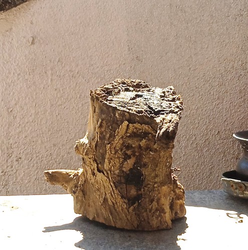 Tronco legno naturale - legno,