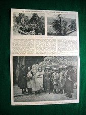 Nel 1921 Pallanza mostra internazionale di fiori all'isola Madre + A. Minotto