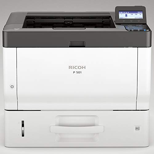 Ricoh 501 - p,