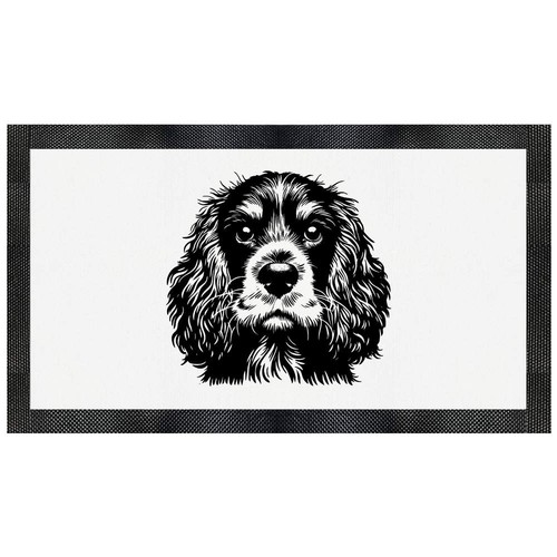 Cocker spaniel portrait - 'cocker, pet