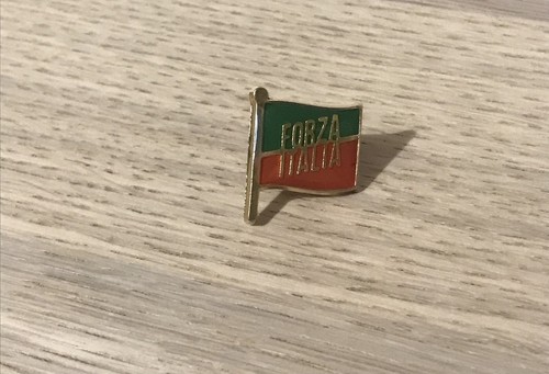 Spilla forza italia - spilla,