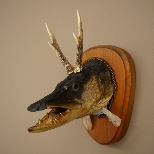 Fischwolpi wolpertinger con - wolpertinger,