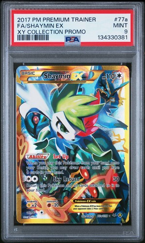 2017 pokemon premium trainer - pokemon,