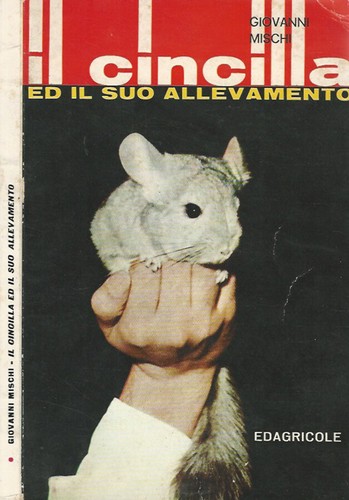 Cincilla il suo - cincilla., ed
