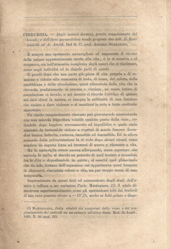 Chirurgia degli innesti - chirurgia.,