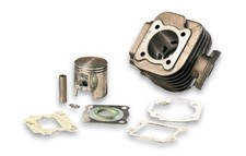 MALOSSI 316882 GRUPPO TERMICO