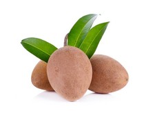 Semi di Sapodilla di Alano -