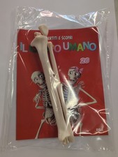 IL CORPO UMANO N°26 USCITA