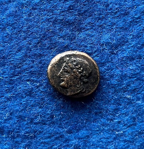 Thourioi lucania quadrans - lucania,