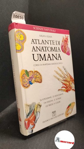 Milan klima atlante - klima.,