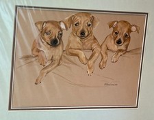 Acquerello originale Minature Pinscher Puppies di Martha Van Loan 12x14 opaco
