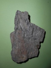 FOSSILE LEGNO ALBERO PIETRIFICATO FRAMMENTO ORIGINALE.