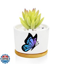 Fioriera Farfalla Giardino