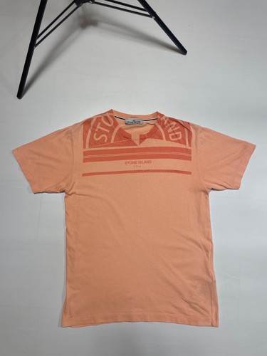 Stone island aw22 graphic - stone,