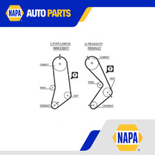 Cinghia distribuzione adatta a