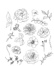 Tim Holtz Timbri a clip
