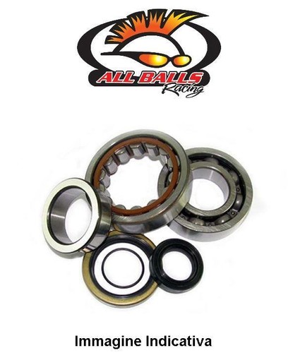 Kit cuscinetti albero motore