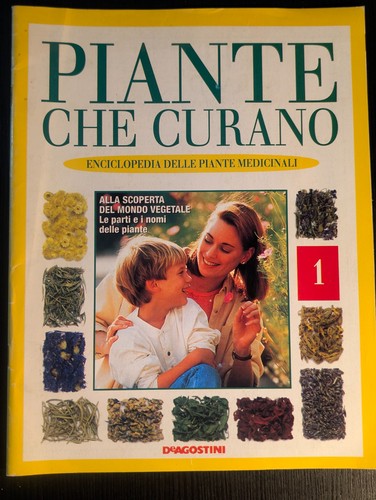 Piante che curano - piante,