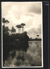 Cartolina palmeiras imperiaes - cartolina, palmeiras,