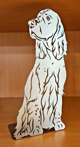 Espositore english springer - espositore,