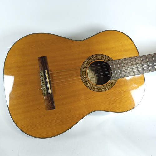 Ibanez salvador - salvador,
