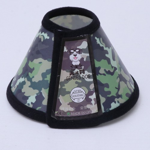 Collari gatti collare - ,