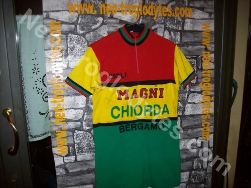 Vintage cycling jersey maglia - jersey,