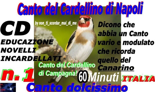 Canto del cardellino - il,