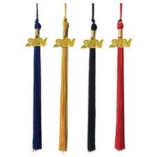 10x Cappello da laurea