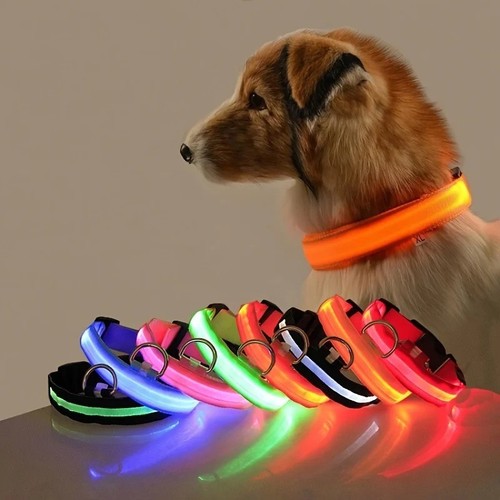 Collare led per cani nylon - led,