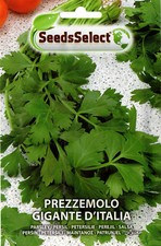500 Semi/Seeds PREZZEMOLO