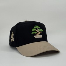 Bonsai di San Francisco Nero e