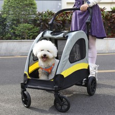 Trolley per Cani di Piccola