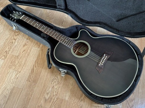 Takamine 106 chitarra - pt-106,