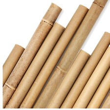 Robusti pali in bambù da 8