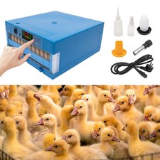 Incubatrice digitale