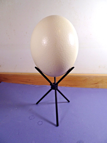 Autentico uovo di - 1,