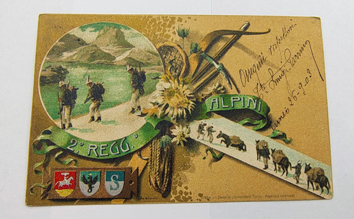 Reggimento alpini borgo - reggimento,