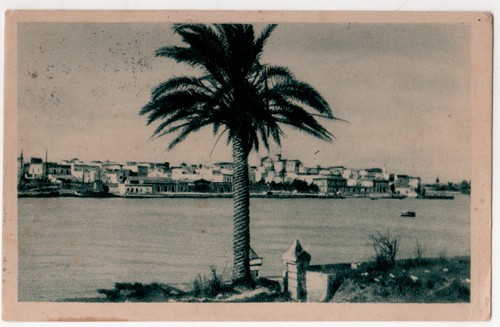 Cartolina brindisi - cartolina,