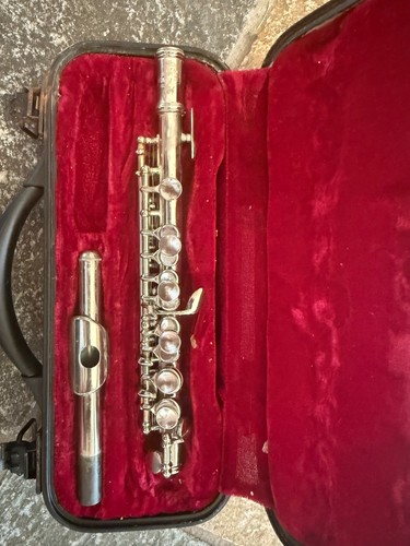 Piccolo argento con custodia - piccolo,