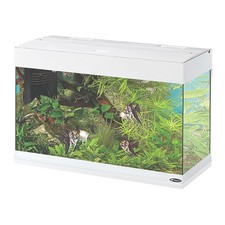 FERPLAST ACQUARIO DUBAI 80 BIANCO da esposizione